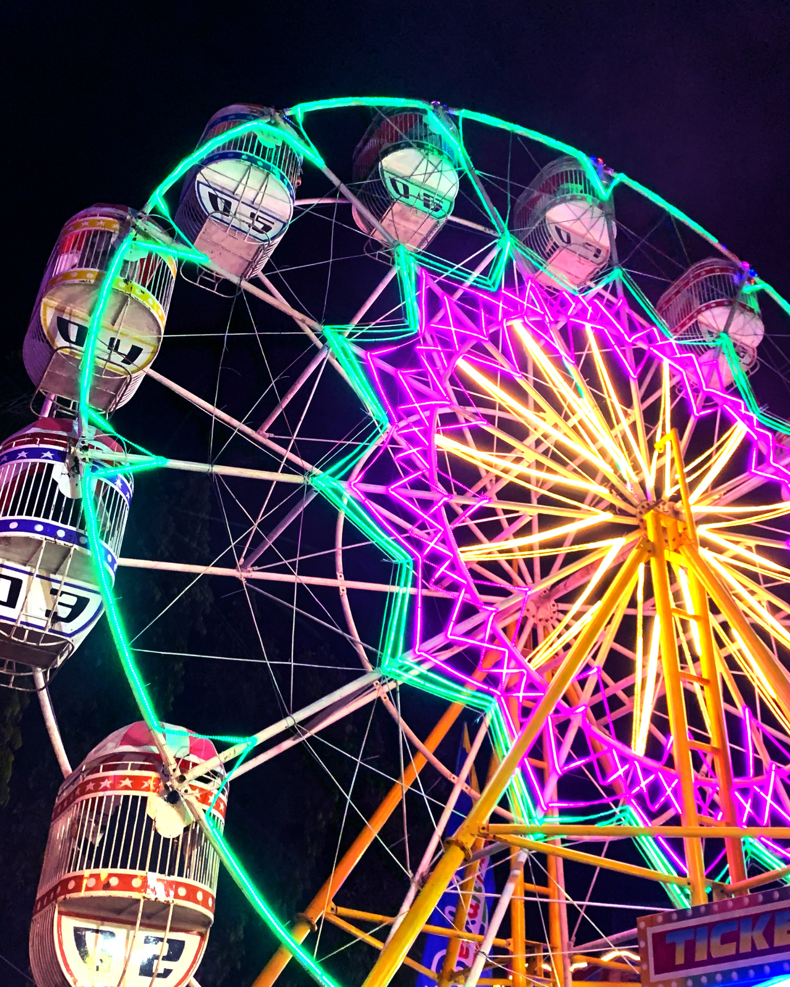 Theme Park and Tourism Security